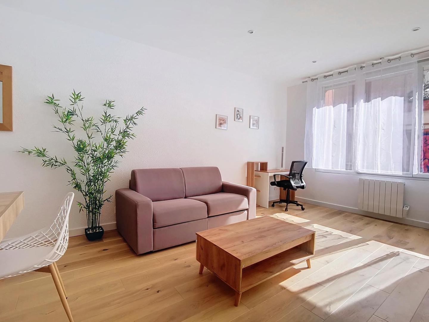 Ღ Les Jumeaux - Charmant Cocon Au Coeur De Toulouse Exterior photo